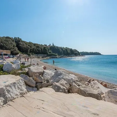 Kamelia Guest house 3*