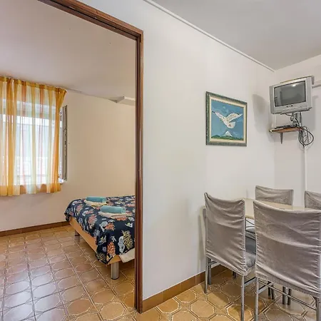 Kamelia Guest house 3*