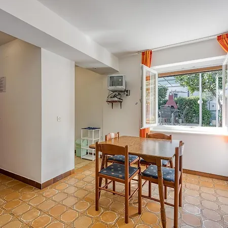 Guest house Kamelia 3*